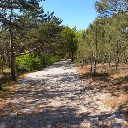 Holiday home Schoorlse Duinvoet